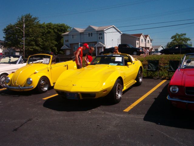 buttercup image 2